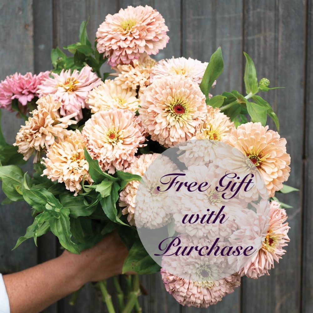 Free Gift with Every Purchase!